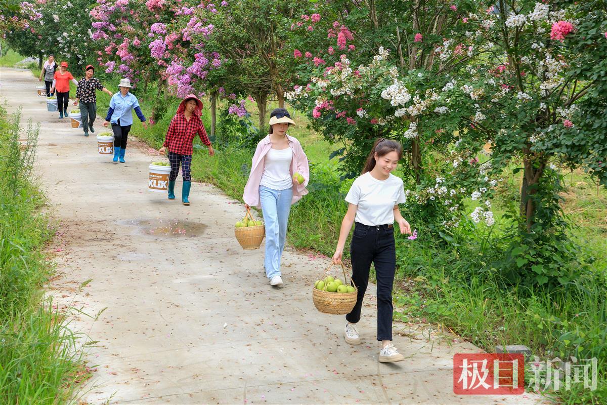 mmexport1690342392172.jpg mmexport1690342392172.jpg