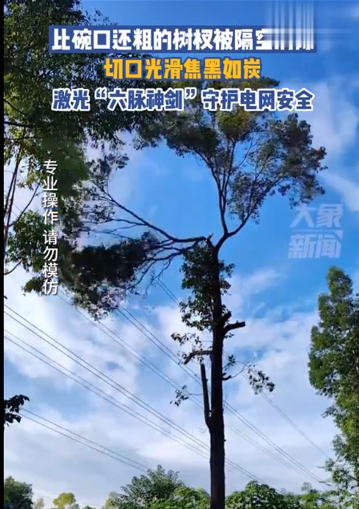 A激光炮隔空砍树４.png
