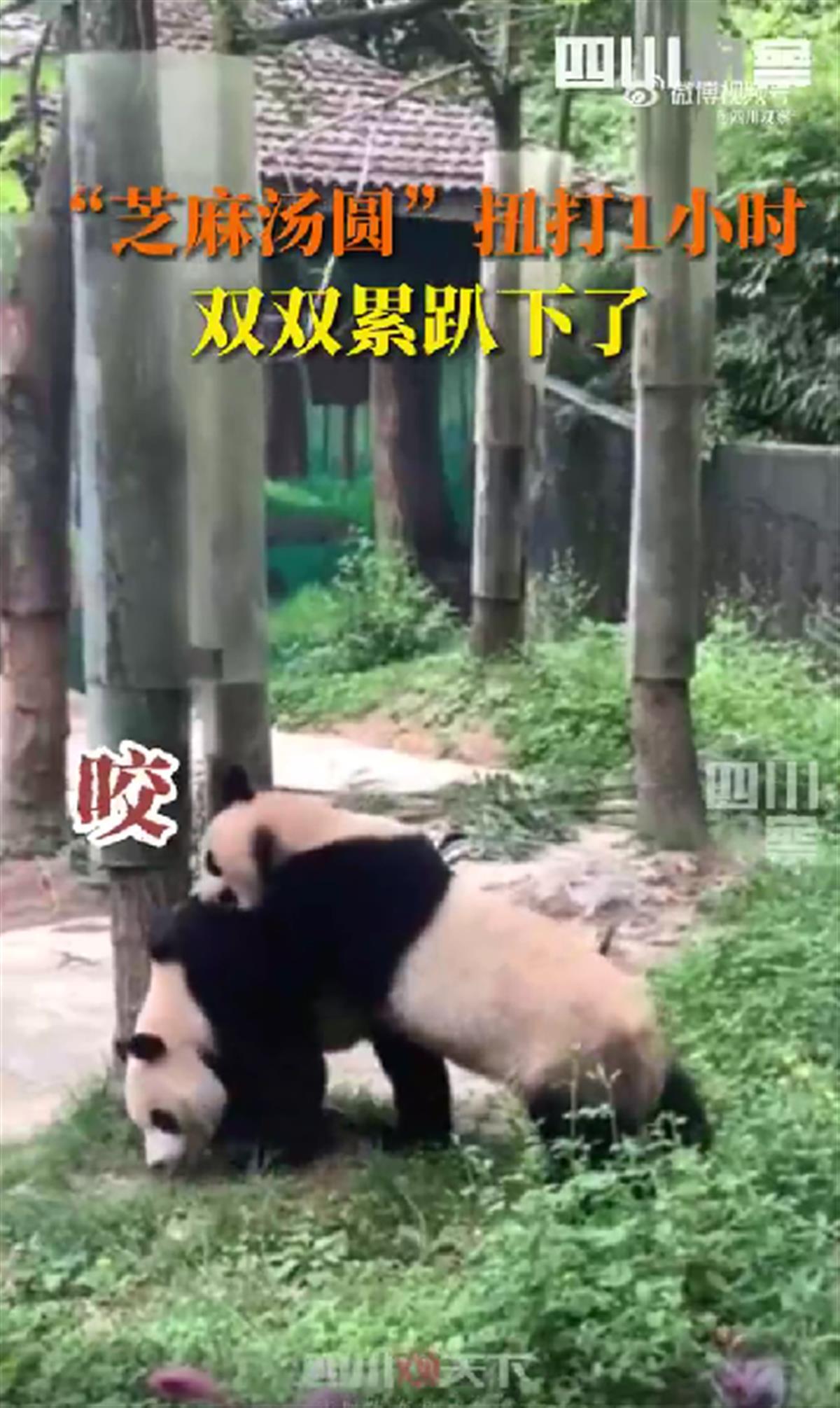 屏幕截图 2023-08-16 110952.png