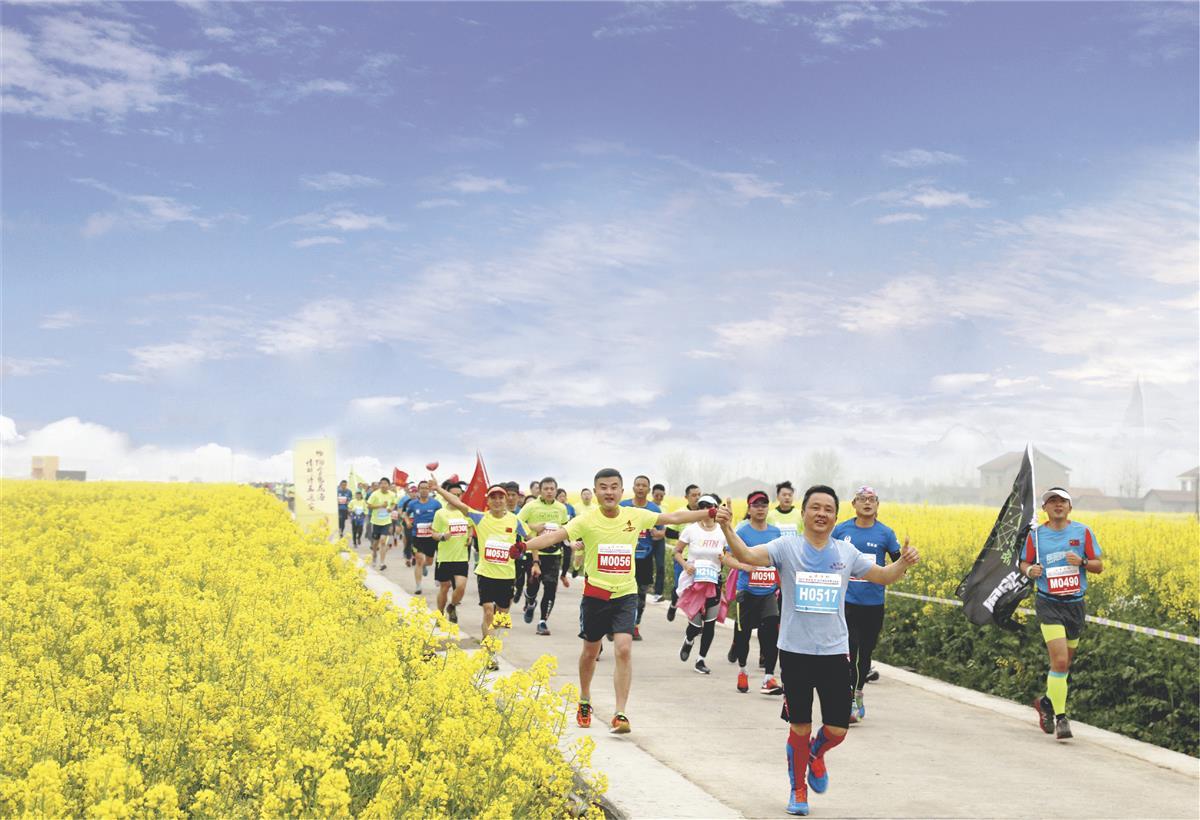往届远安田野马拉松.png