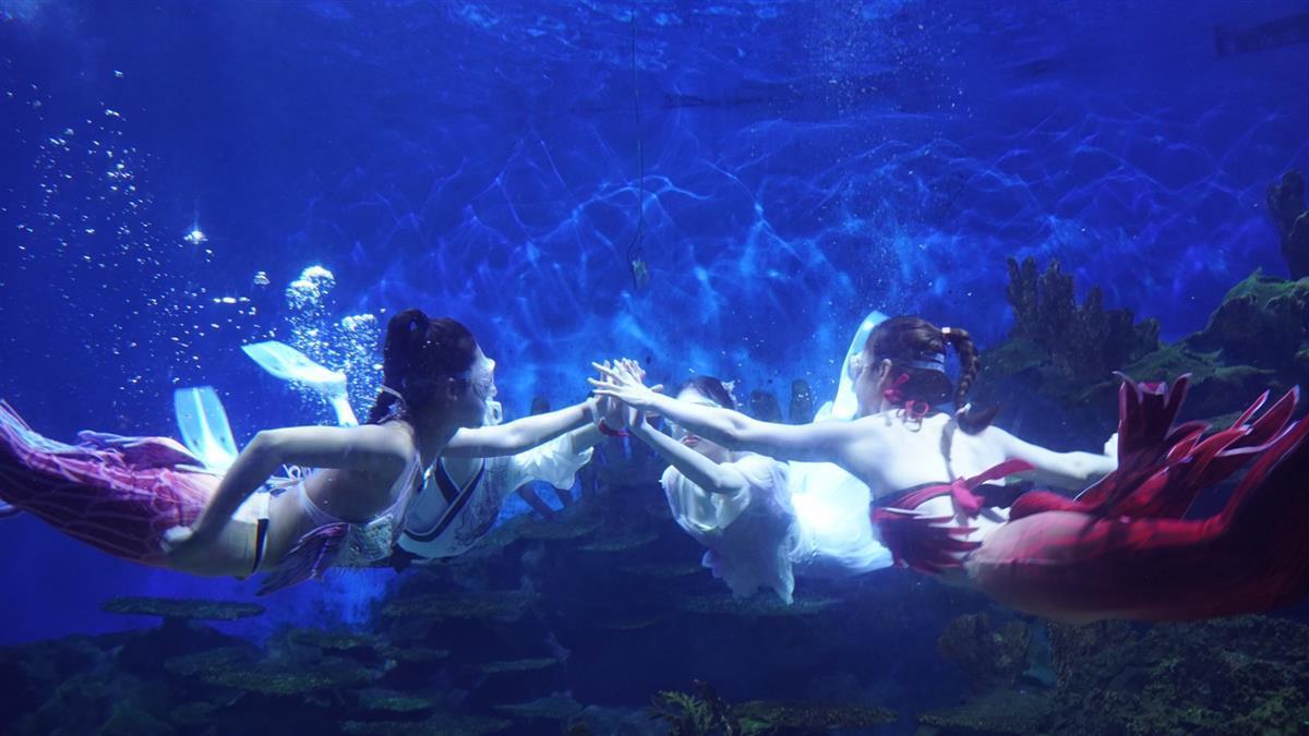 pub_CB20230822213835726033.jpg pub_CB20230822213835726033.jpg