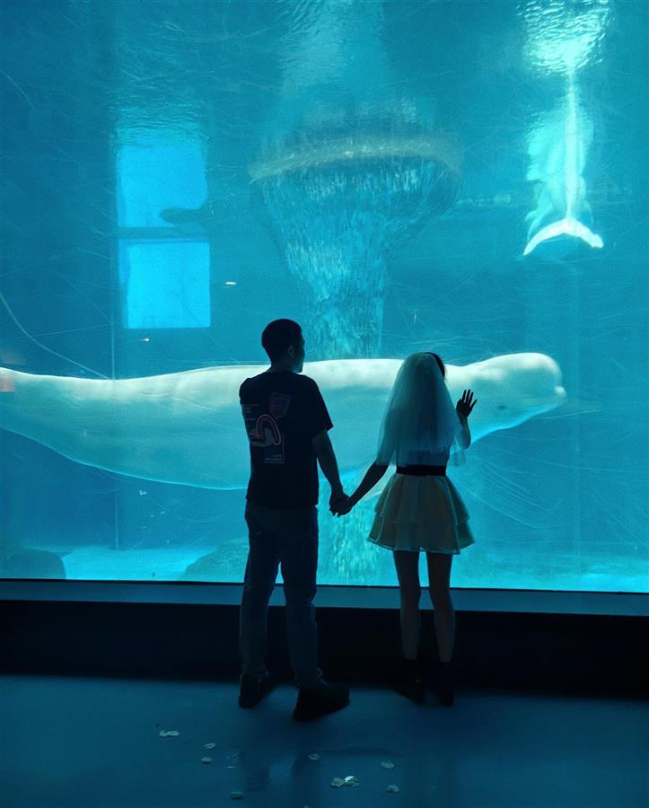 pub_CB20230822213838356096.jpg pub_CB20230822213838356096.jpg