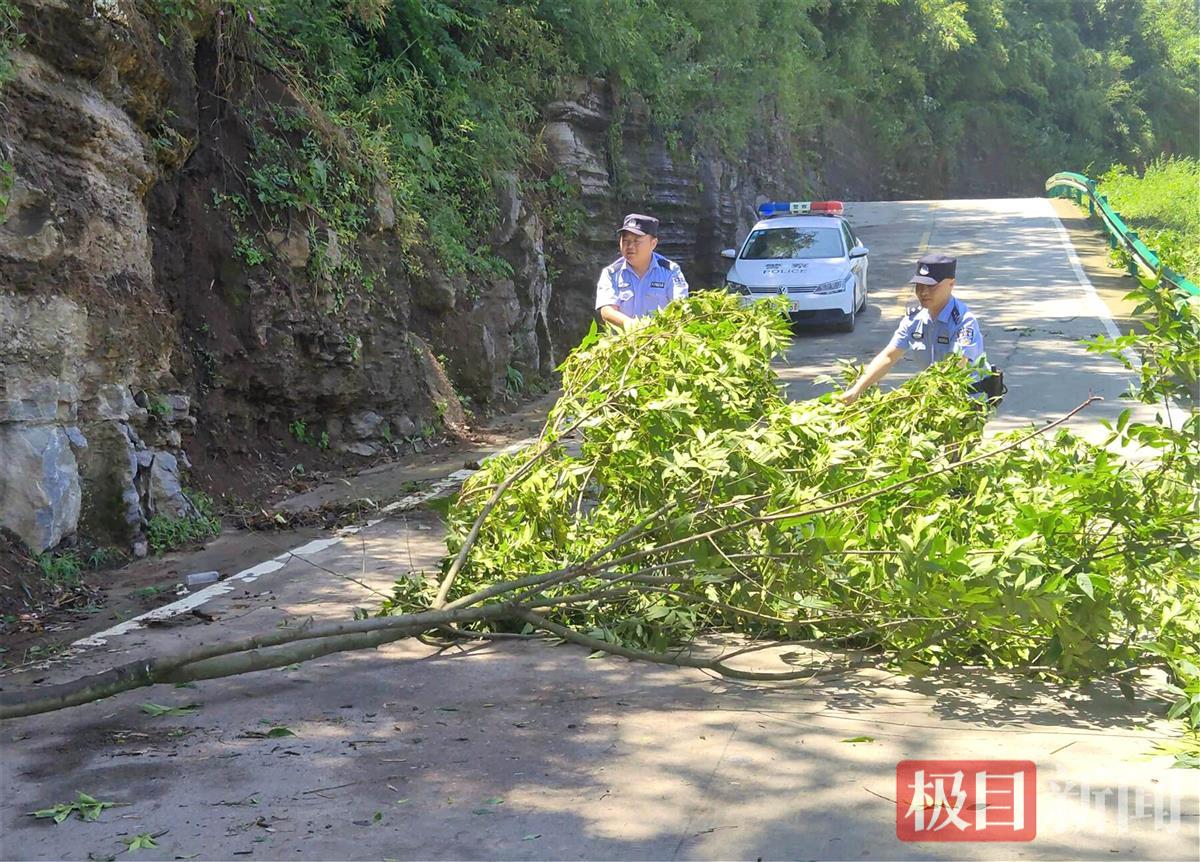 图1:民警在清除倒伏树木。.jpg 图1:民警在清除倒伏树木。.jpg