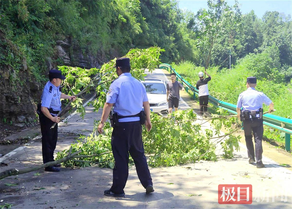 图2：民警在清除倒伏树木。.jpg