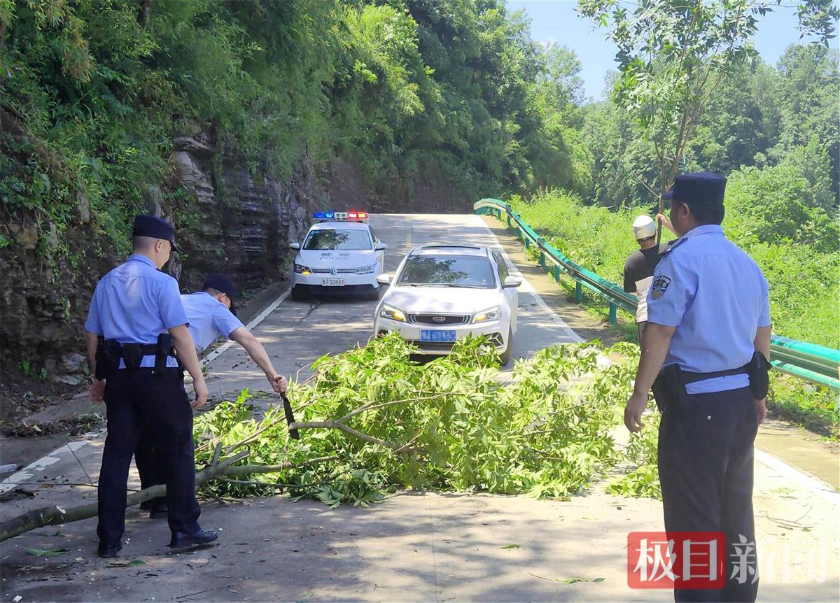 图3:民警在清除倒伏树木。.jpg