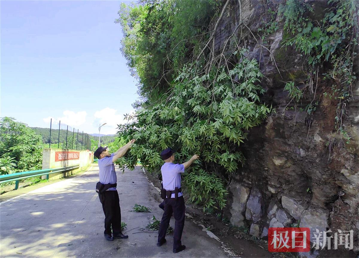 图5：民警在清除倒伏树木。.jpg