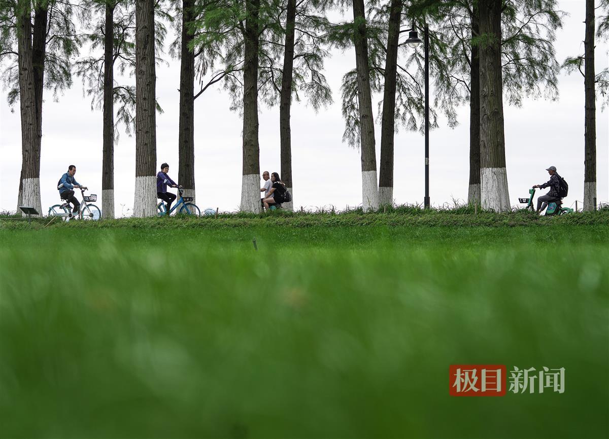 东湖绿道 王永胜摄.JPG