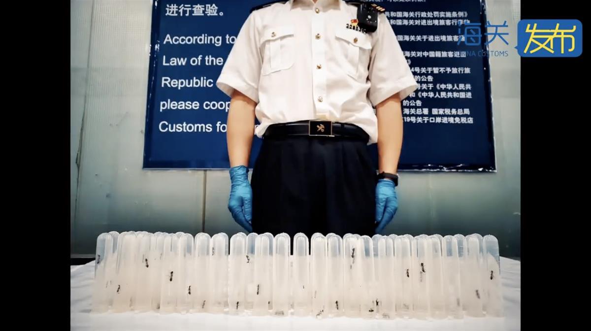 截屏2023-09-30 08.20.04.png