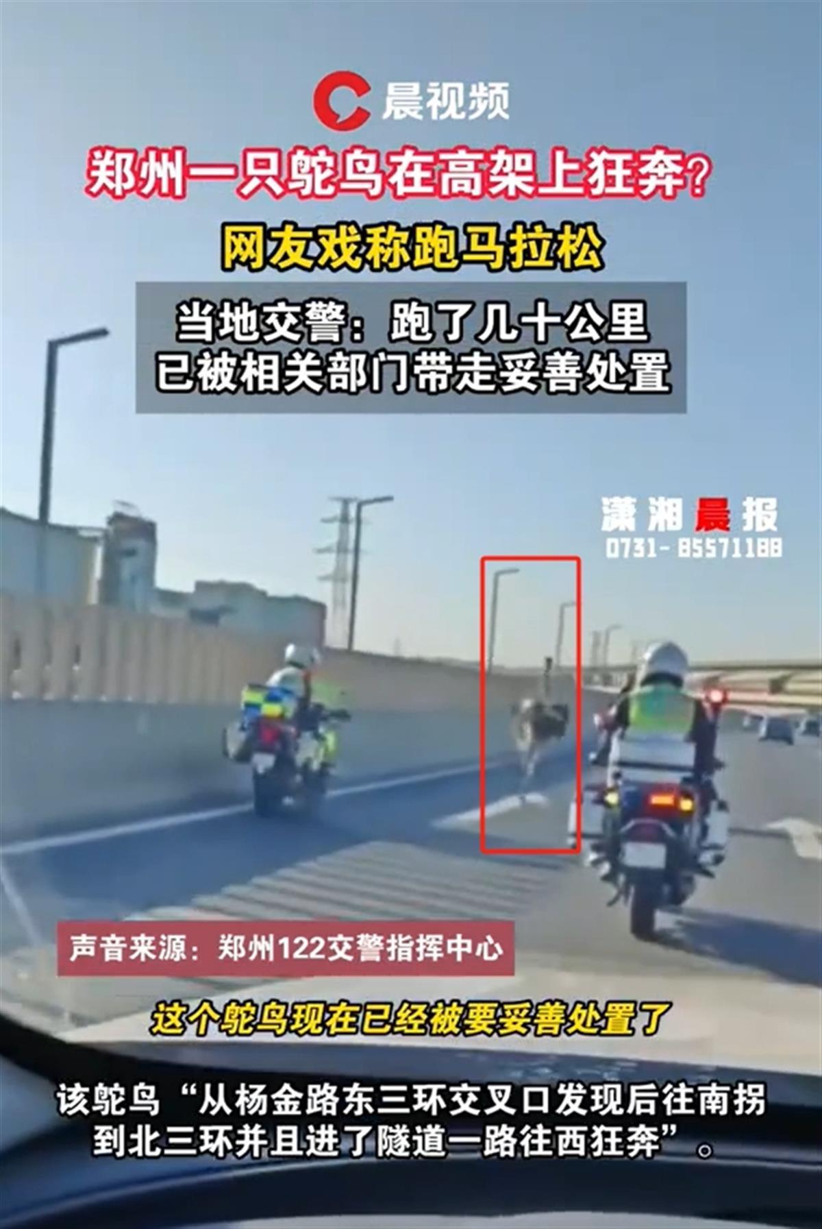 微信截图_20231106153305.png