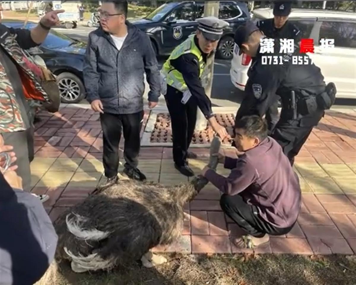 微信截图_20231106153333.png