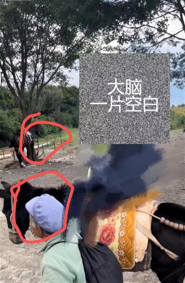 QQ图片20231115090515.png QQ图片20231115090515.png