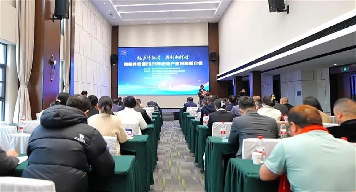 推介会现场.jpg