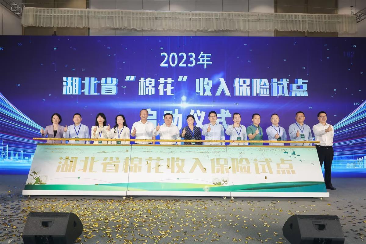 3.中国人保参与的湖北省棉花收入保险试点启动.jpg 3.中国人保参与的湖北省棉花收入保险试点启动.jpg