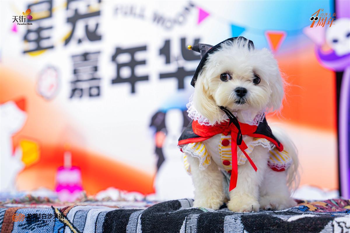 8f2a9d3a8290ae21fd3164223f6a35f.jpg 8f2a9d3a8290ae21fd3164223f6a35f.jpg