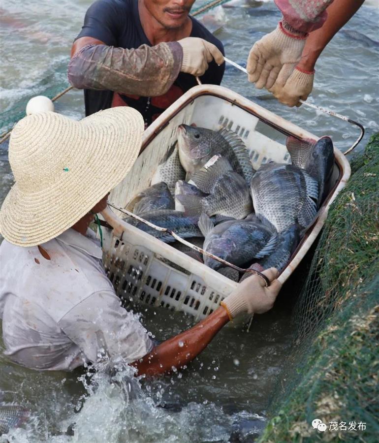 640 (7).jpg 640 (7).jpg