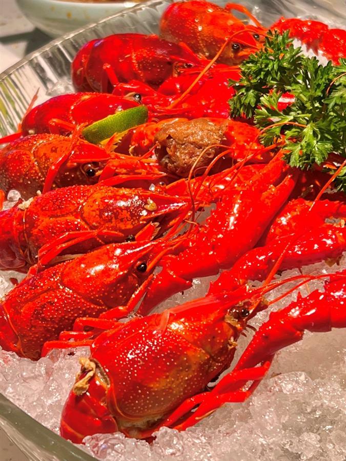 图片1.jpg 图片1.jpg