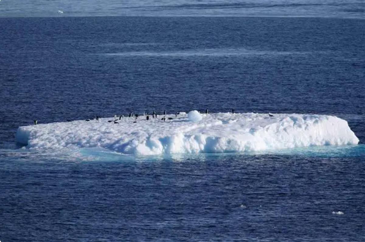 一天 新华社.png