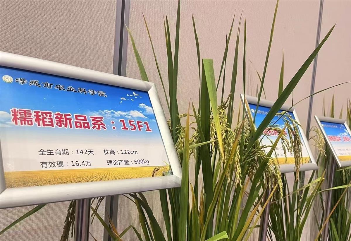 微信图片_20240905163336.jpg 微信图片_20240905163336.jpg