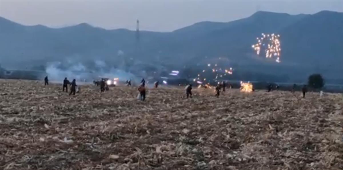 官方回应“有人在田里放加特林烟花驱赶拾玉米人群”：事发宝鸡岐山县，全县正展开核查