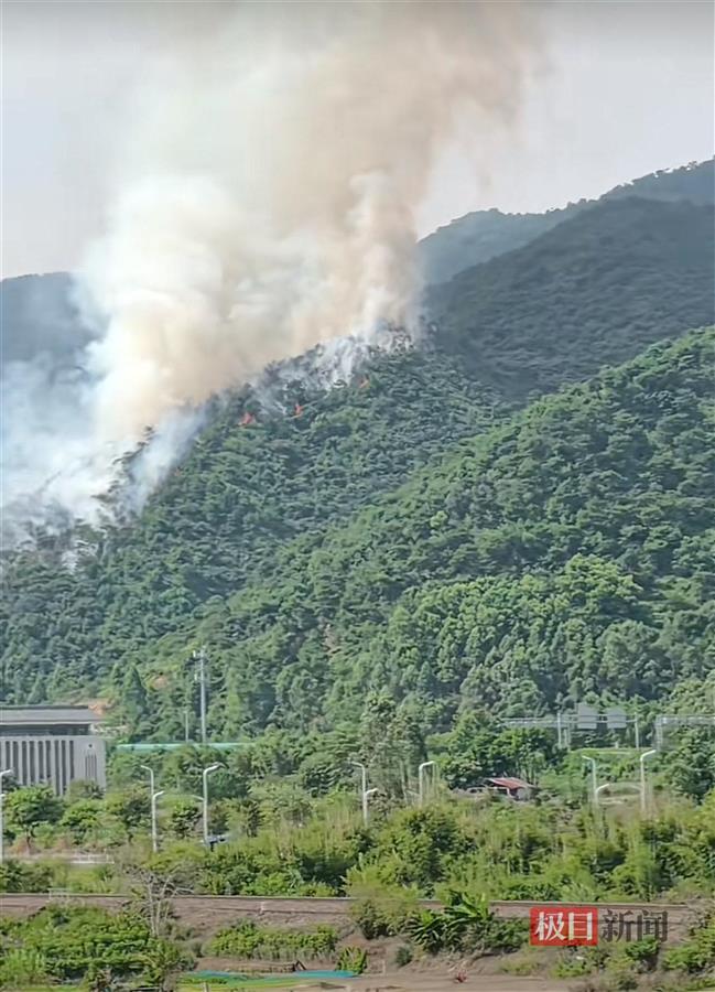 广东肇庆发生山火，直升机现场取水救火