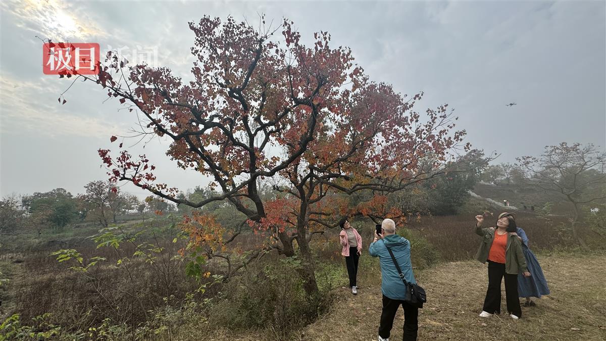 微信图片_20241103111309.jpg