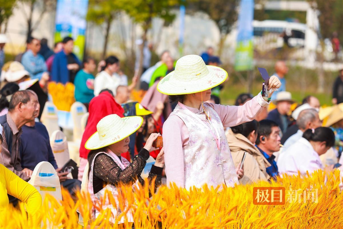 XLL_2304-opq3308431541.jpg XLL_2304-opq3308431541.jpg