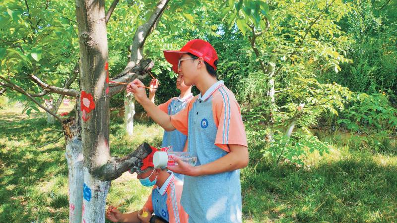 陕西省林业局供图