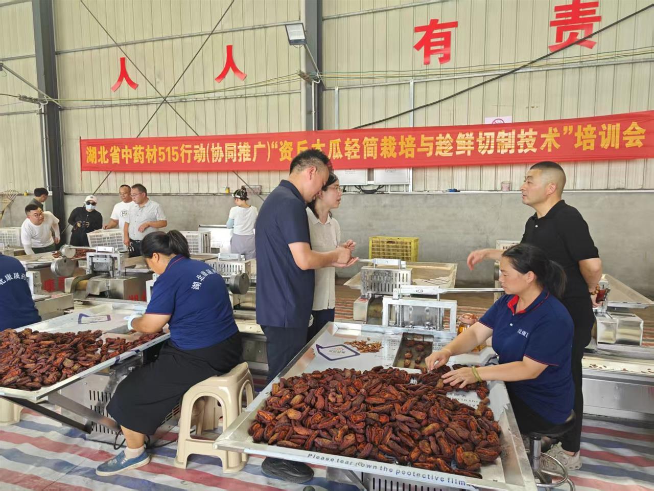 中南民大专家代表参观资丘木瓜轻简栽培与趁鲜切制基地。学校供图.jpg