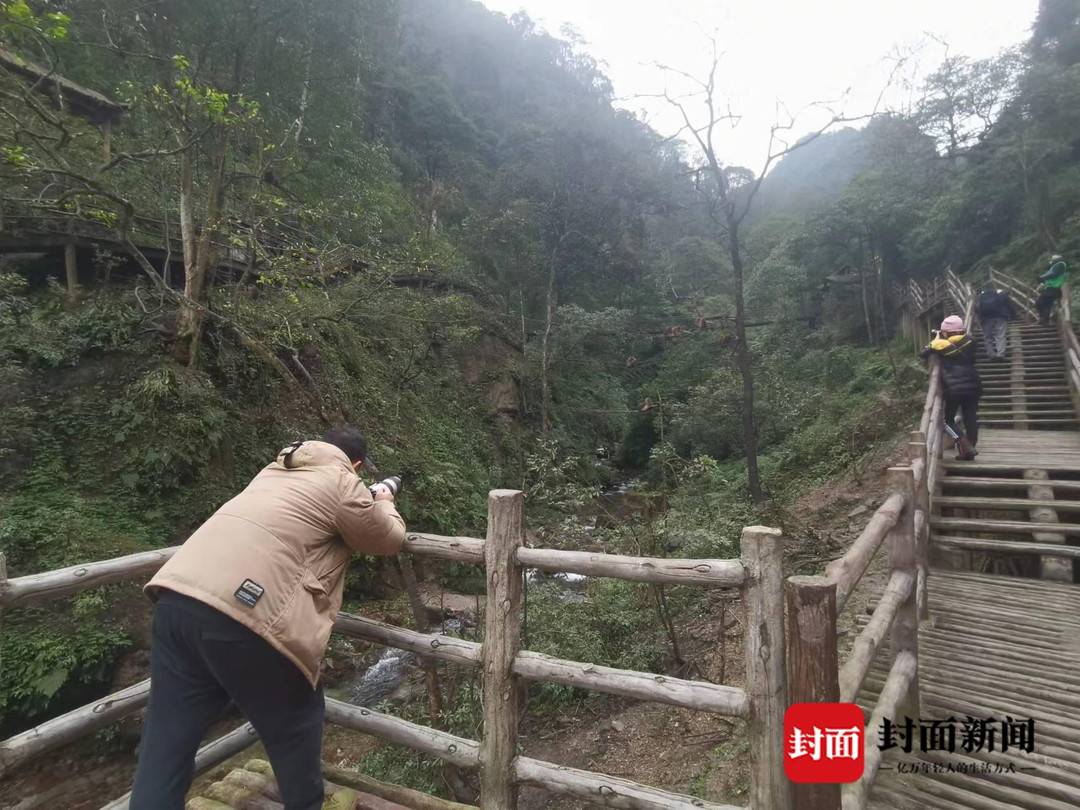 峨眉山招聘猴群管理员引热议 景区：合同聘用制，缴五险一金你都知道哪些？