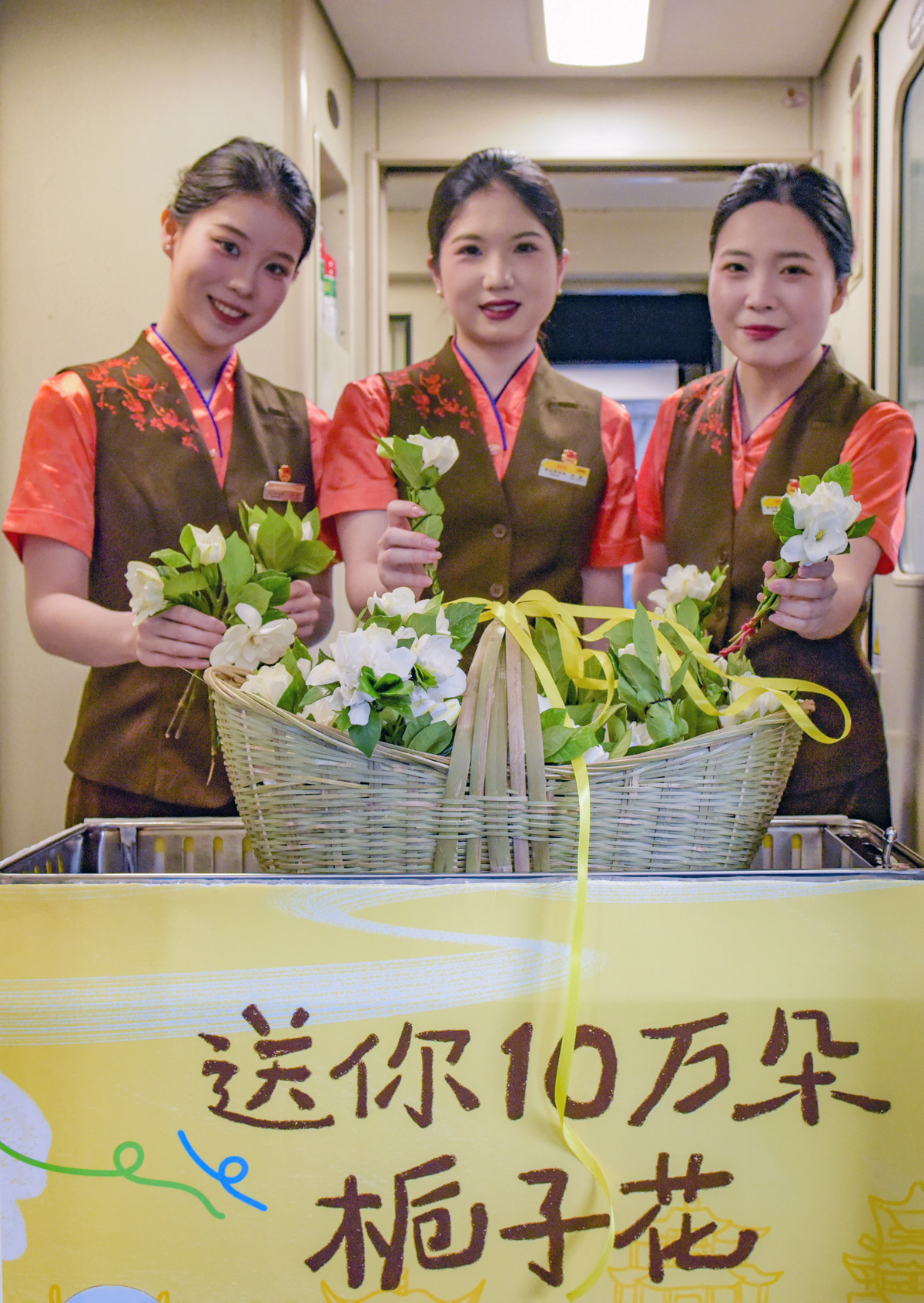 栀子花2.jpg