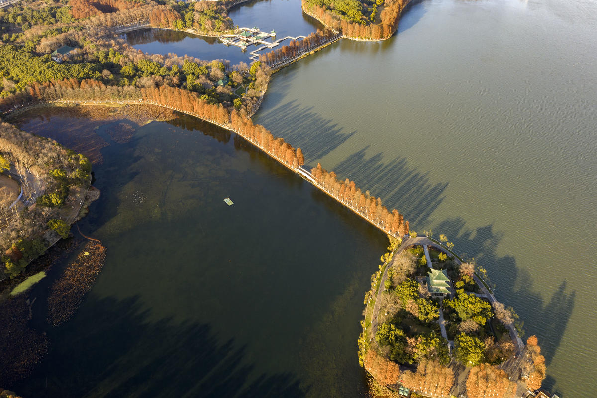 东湖听涛景区   新华社发