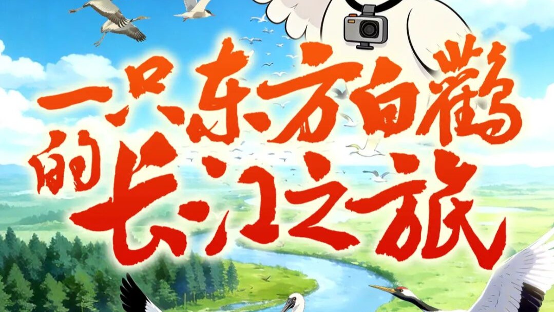 一只东方白鹳的长江之旅
