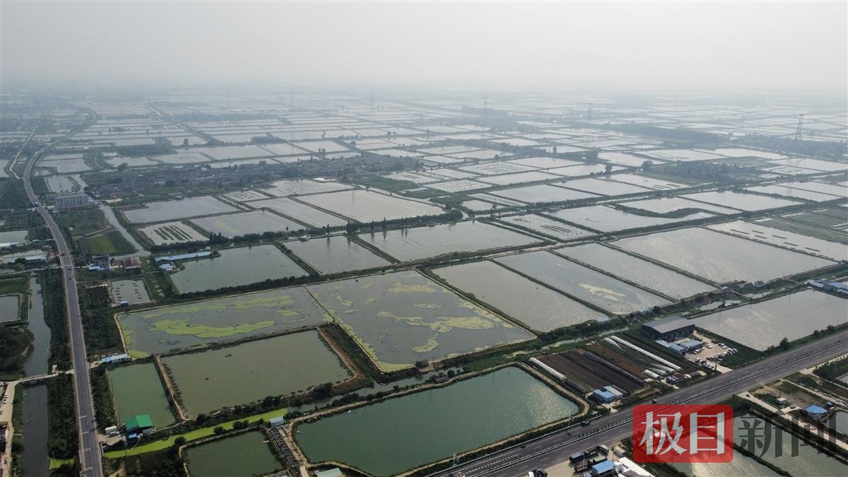 兴化境内湖泊密布 (2).jpg