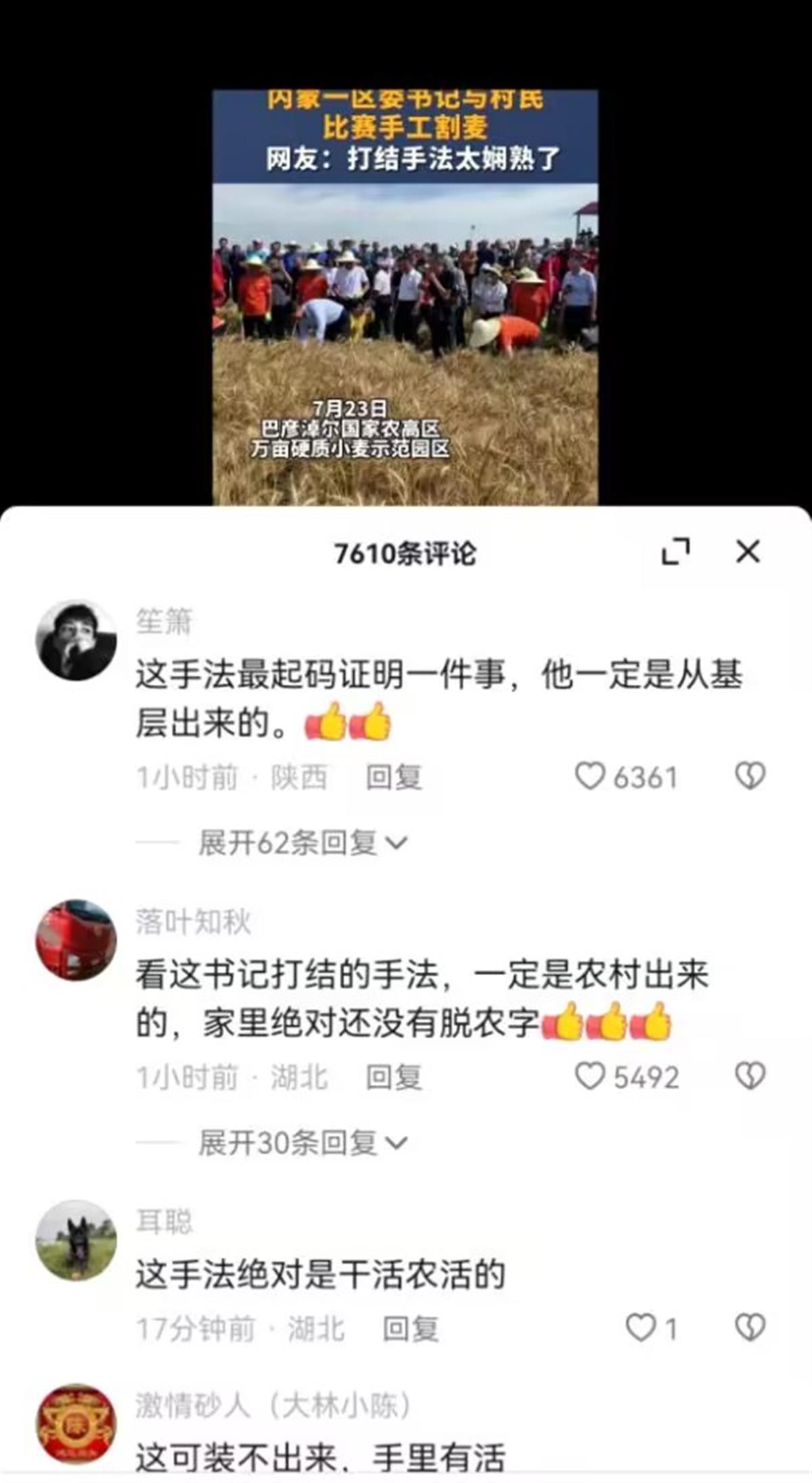 A区委书记与村民比赛手工割麦子5.jpg