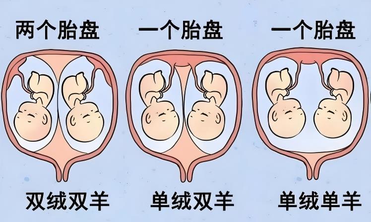 微信图片_20260107115606.png