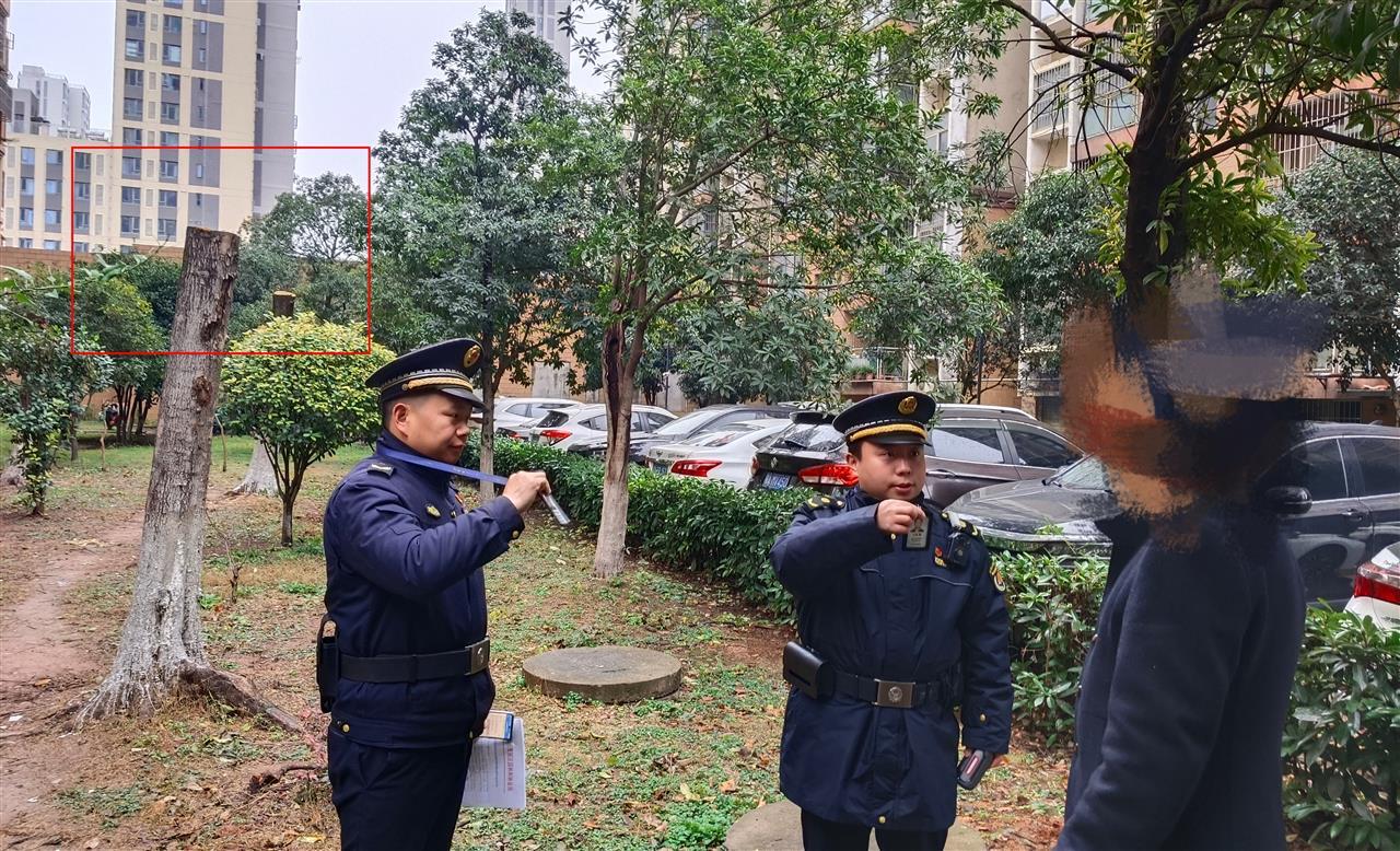 武汉一物业公司因过度修剪树木被罚款2100元，5棵大树遭剃光头惩戒