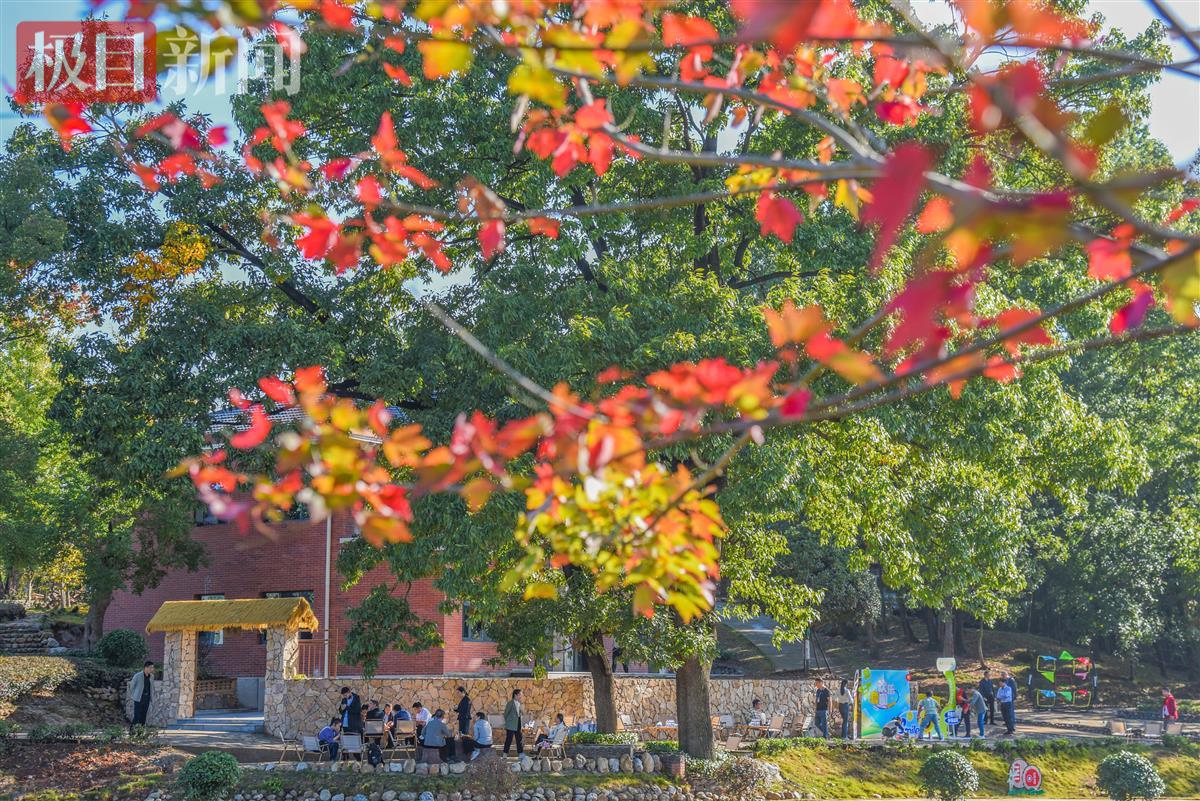 10月18日，随州市随县庹家村自在小院乡村景观。（极目新闻记者 黄志刚 摄）.jpg