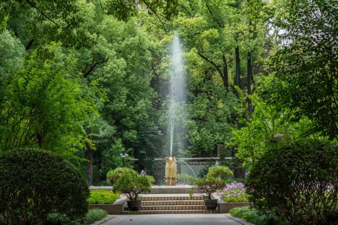 “能拍完婚纱照再手术么？”26岁备婚女孩突然查出！影响生育，全身换掉一半血...