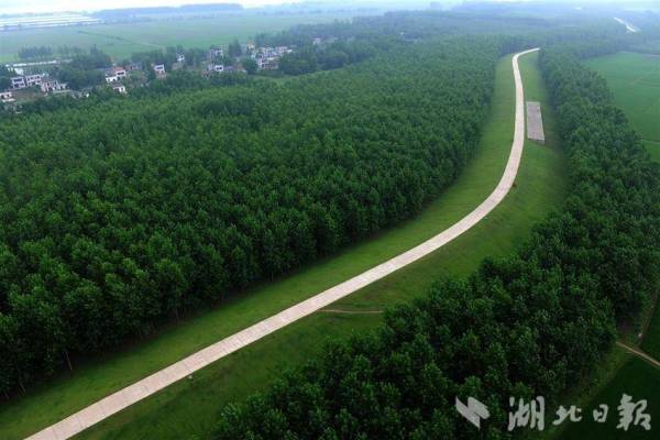 2235e358-4bf5-4ec5-ba87-a270adb541e7