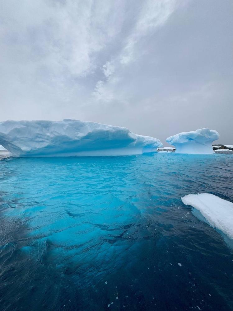 南极旅游价格被打下来了？亲历者分享5万元打卡攻略