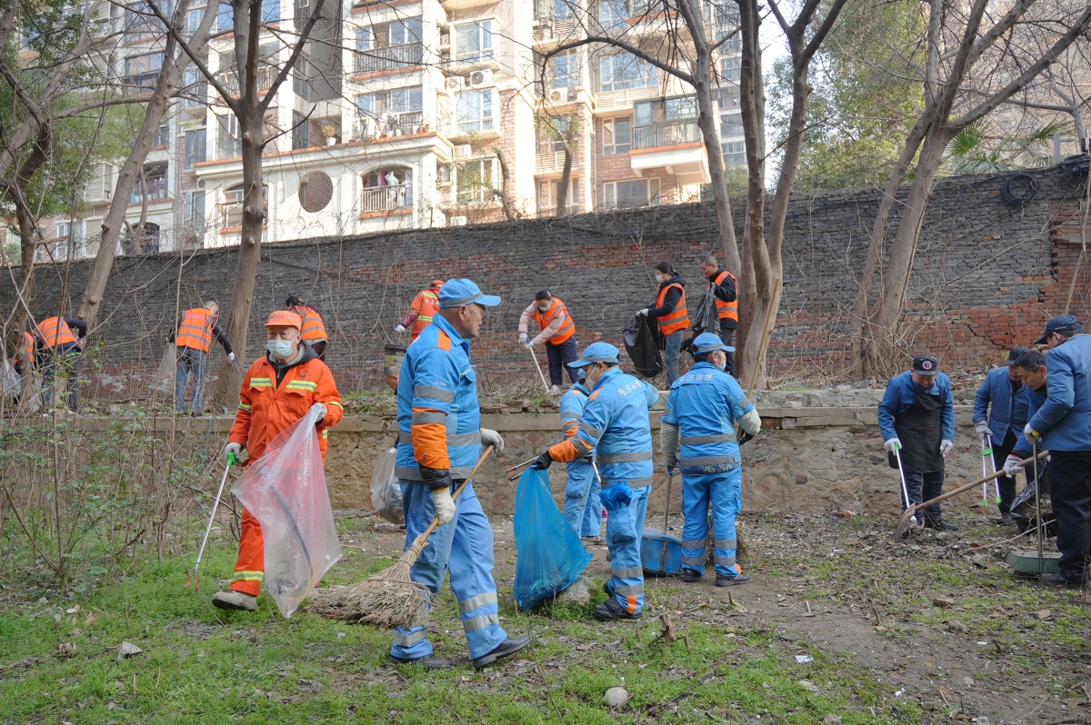 清理1818小游园 (7).JPG