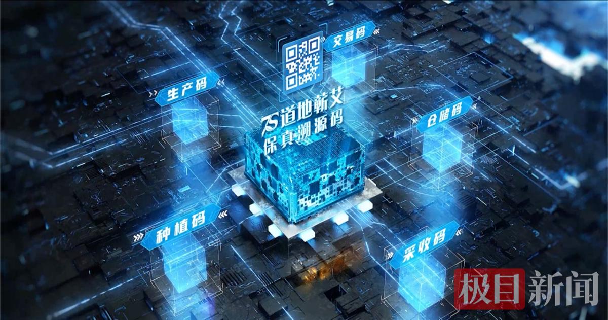 6666图片1.jpg