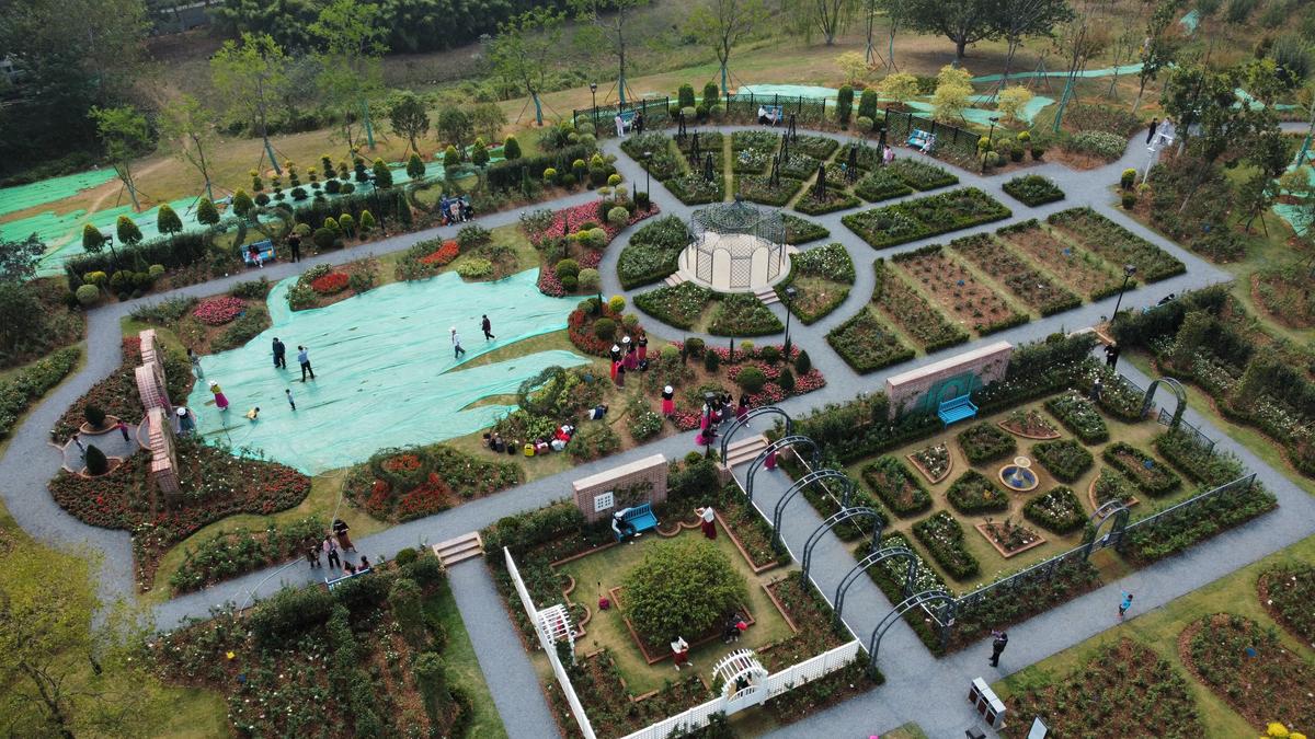 湿地艺术园之月季园