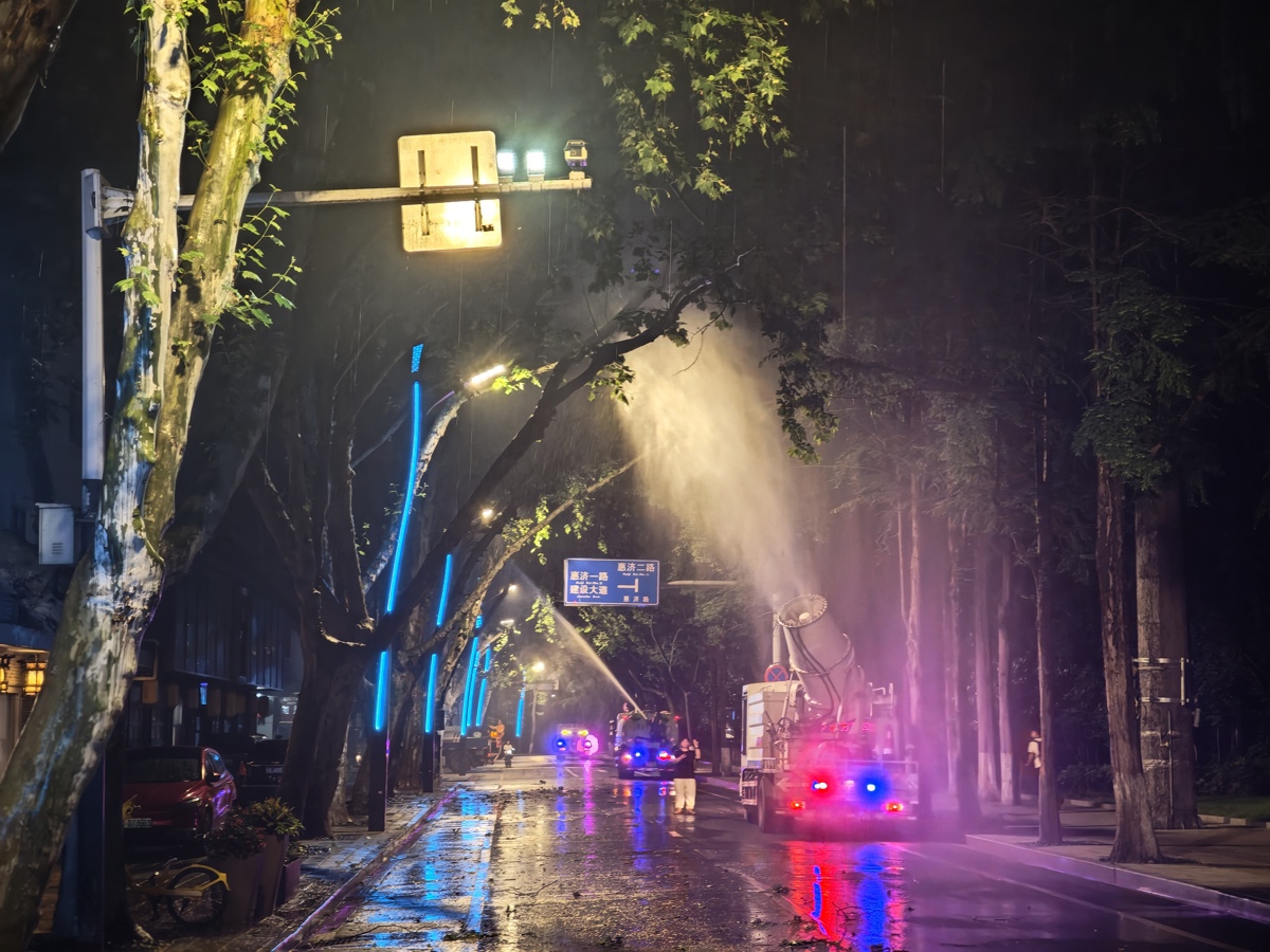 区园林局水车对道路梧桐树开展除绒作业.jpg