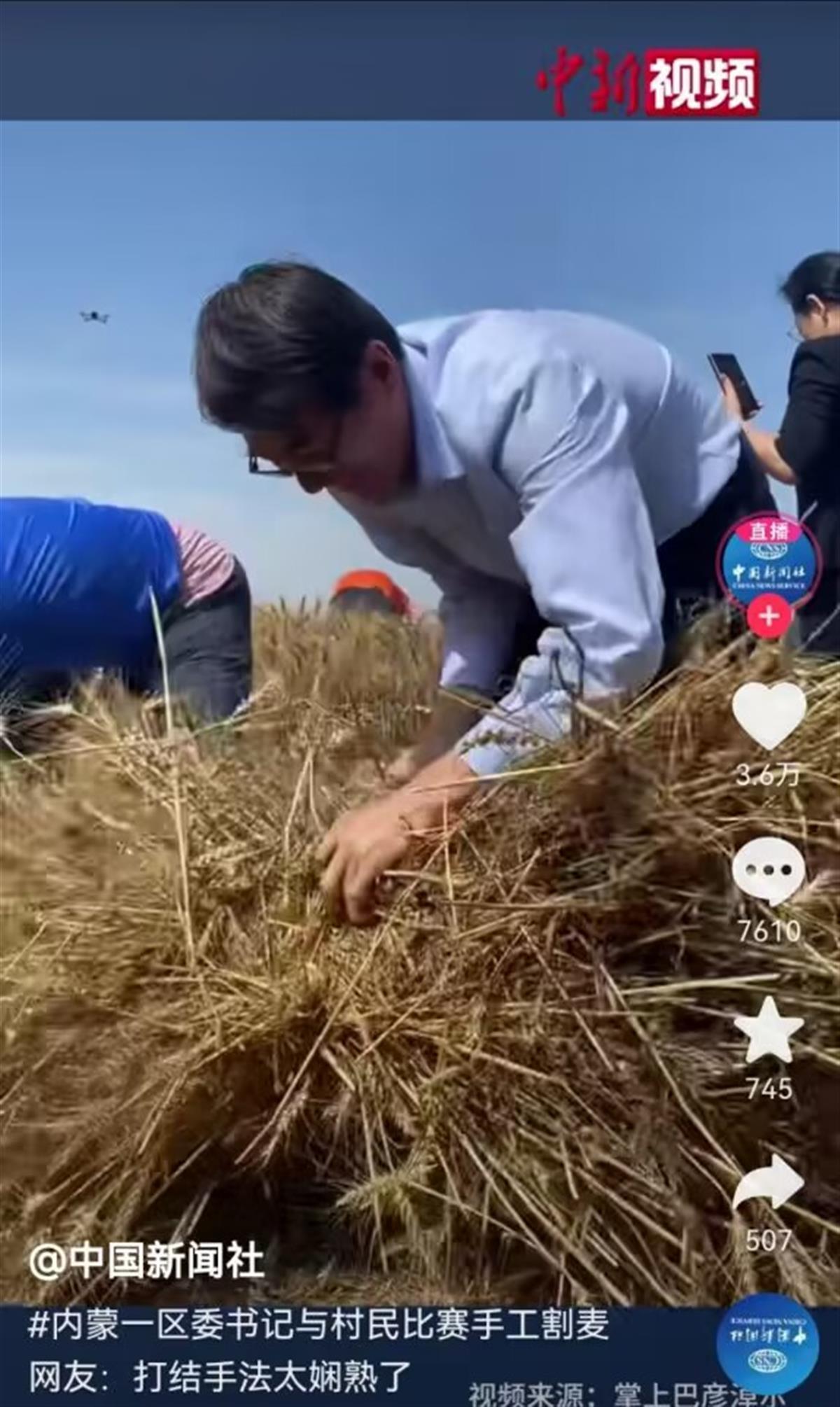 A区委书记与村民比赛手工割麦子1.jpg