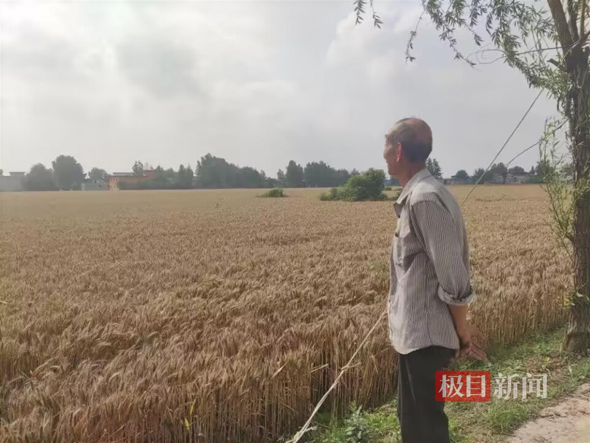 QQ图片20230531210854.jpg