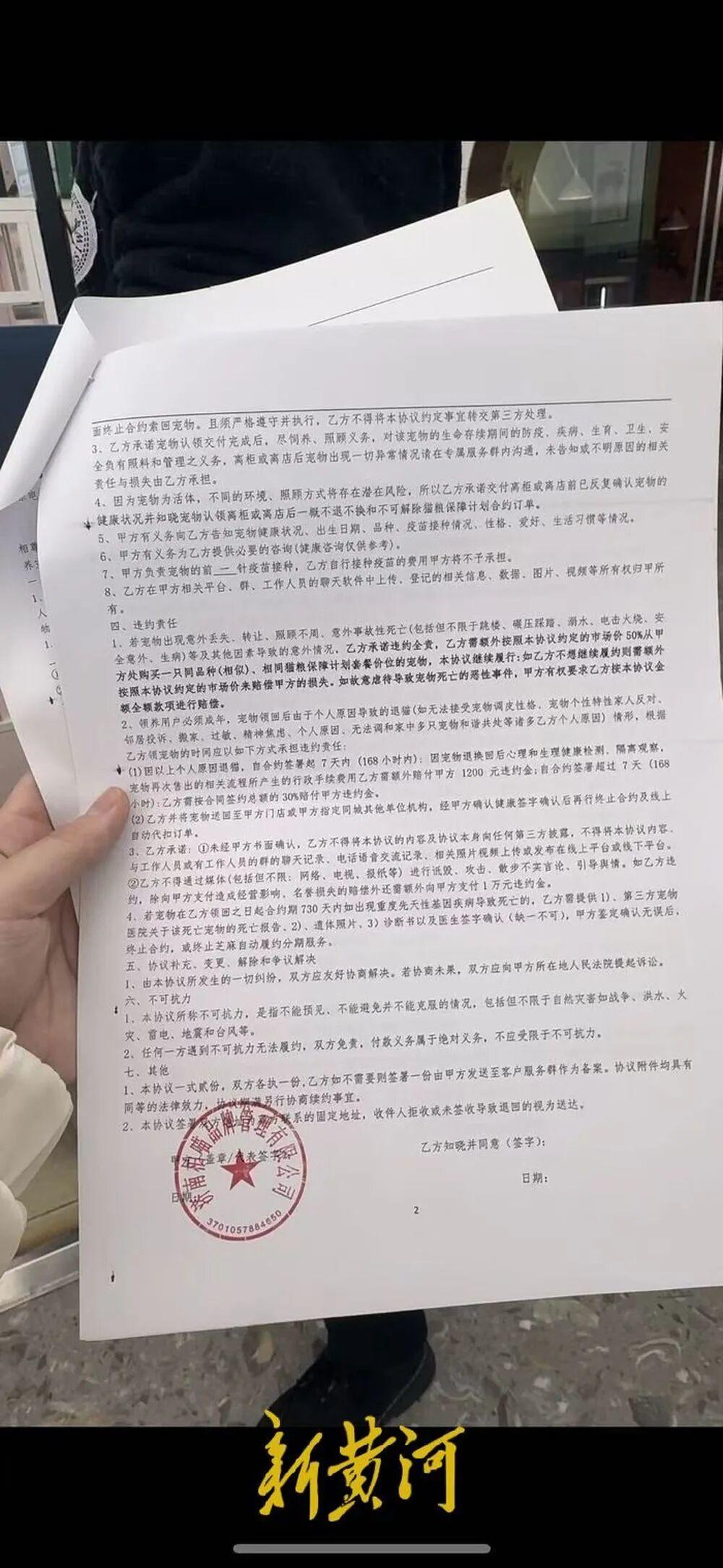免费领养一只猫，却背上网贷，记者调查“猫贷”陷阱：商家打着“免费领养”“爱心领养”旗号，利用消费者的善意，诱导其签订分期付款合同_https://www.izongheng.net_快讯_第7张