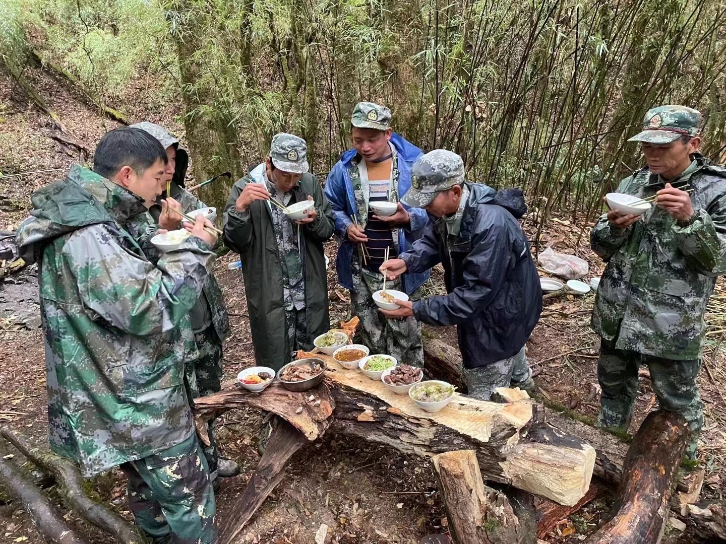 万字长文！人民日报记者两赴哀牢山核心区，带你深度了解-第11张-资讯-土特城网