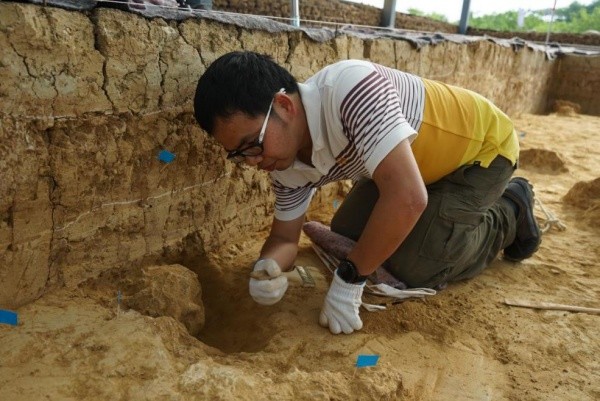 考古人员对“郧县人”3号头骨化石按规定程序初步清理至可观察状态。