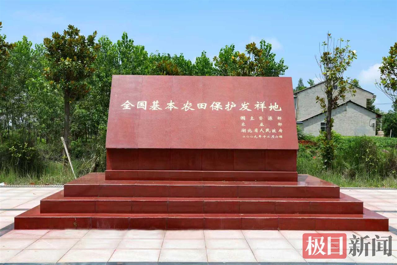 湖北监利是”全国基本农田保护发祥地“。（徐美平 摄）.jpg